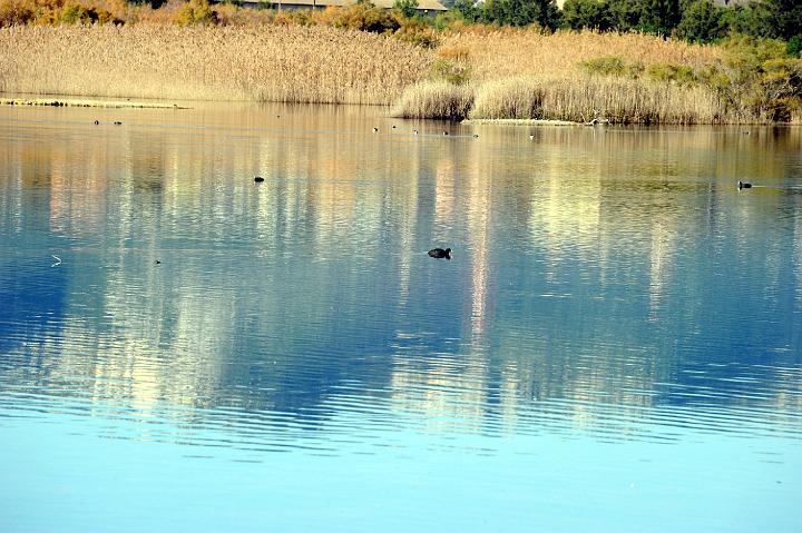 1Saline di Priolo 16.1.2011 (20).jpg